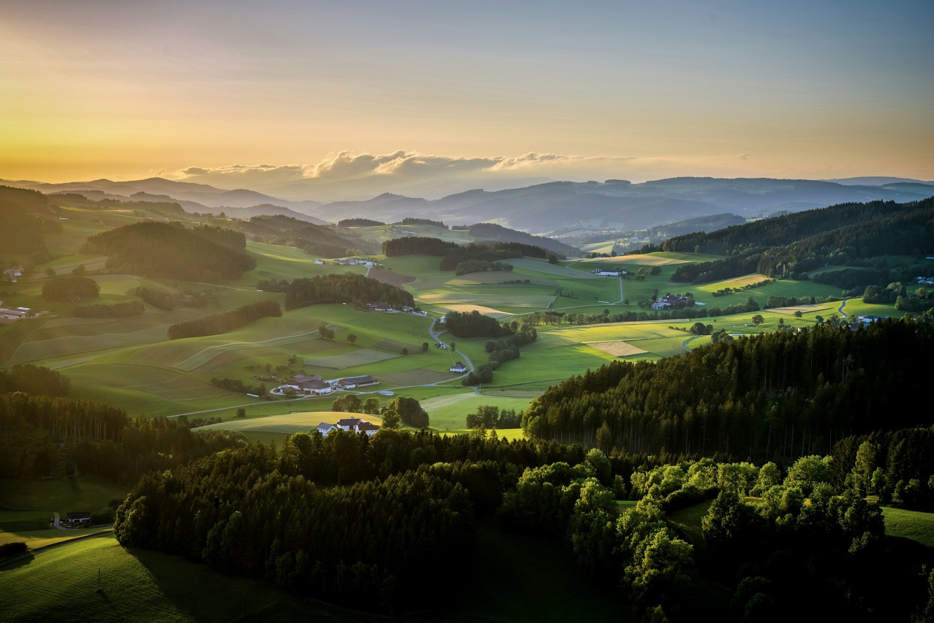 Mühlviertler Landschaft mit Hügeln, Wald und Granit im weichen Morgenlicht.